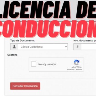 como saber mi número de licencia si la perdí