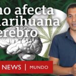 como saber si alguien fuma marihuanas