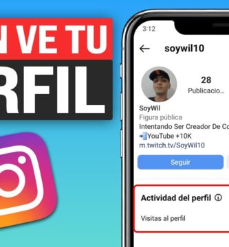 como saber si alguien mira tu perfil en instagram