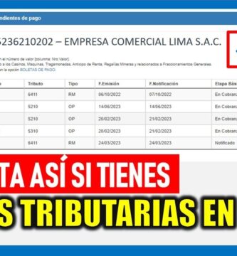 como saber si debo a sunat