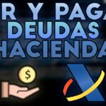 como saber si debo dinero hacienda