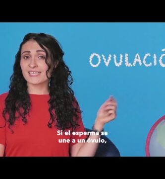 como saber si despues de tener relaciones quede embarazada