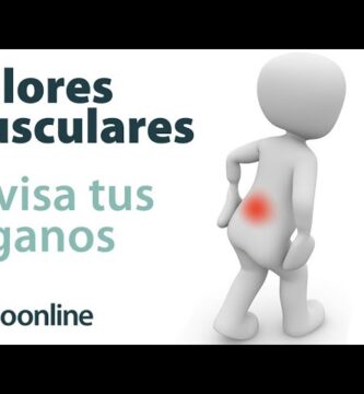 como saber si el dolor es muscular o interno