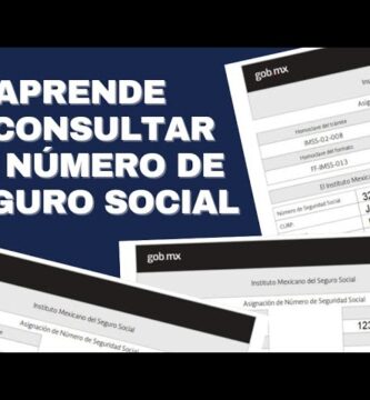 como saber si el numero de seguro social es correcto