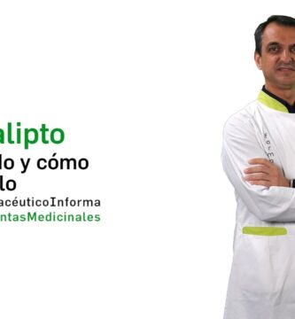 cómo saber si es eucalipto