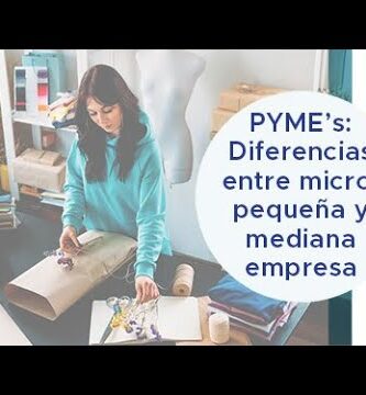 como saber si es micro pequeña o mediana empresa