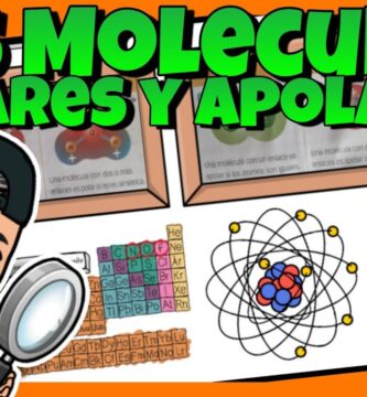 como saber si es polar o no polar una molecula
