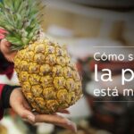 como saber si esta piña madura