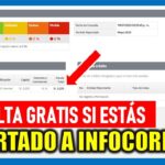 como saber si estas en infocorp