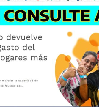 como saber si estoy en iva