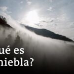 cómo saber si habra niebla