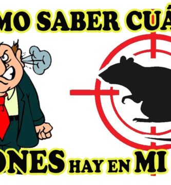como saber si hay un raton en mi casa