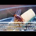 como saber si la cucaracha vuela