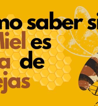 como saber si la miel es pura de abeja