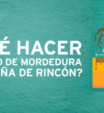 como saber si la picadura de araña es venenosa