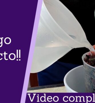 como saber si le falta agua a mi orquidea