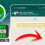 como saber si leyeron mensaje whatsapp