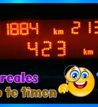 como saber si los km de mi coche son reales