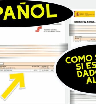 como saber si mi empresa me dio de baja
