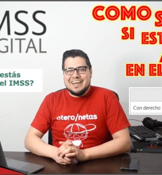 cómo saber si mi número de seguro social está activo
