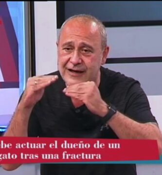 como saber si mi perro se ha roto una pata