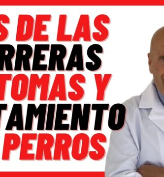 como saber si mi perro tiene tos de perrera