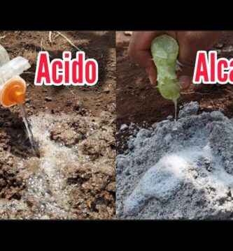 como saber si mi suelo es acido o alcalino