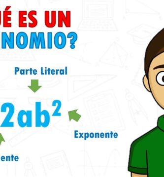 como saber si no es monomio