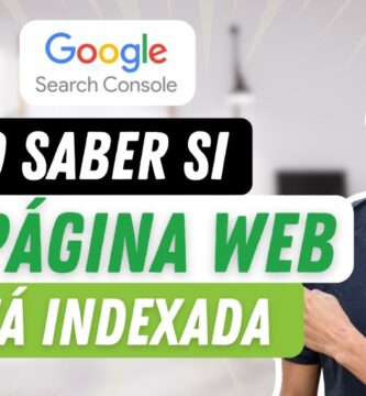 como saber si pagina esta indexada