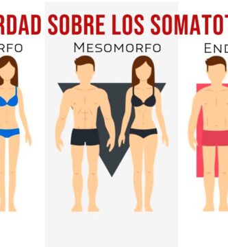 como saber si soy ectomorfo mesomorfo o endomorfo mujer