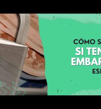 como saber si tengo algún embargo