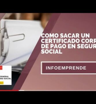 como saber si tengo deuda con la seguridad social