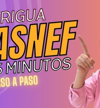 como saber si tengo deudas asnef