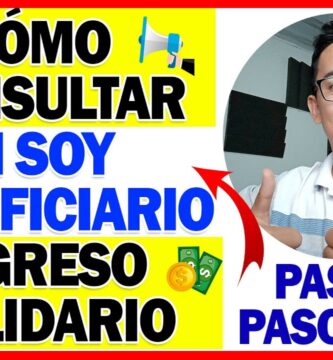 como saber si tengo ingreso solidario
