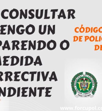 como saber si tengo multas policia