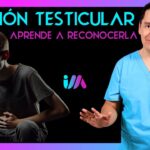 como saber si tengo torsion testicular