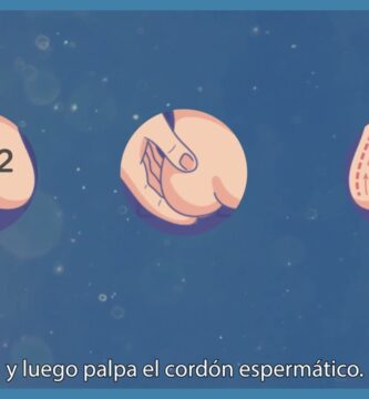como saber si tengo una hernia en un testiculo