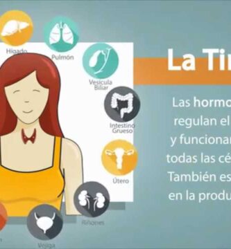 como saber si tienes hipotiroidismo o hipertiroidismo