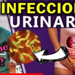 como saber si tienes infección urinaria