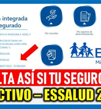 como saber si tienes seguros