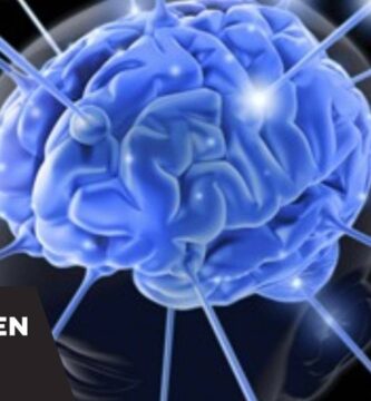 como saber si tu cerebro esta bien
