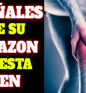 como saber si tu corazón está bien
