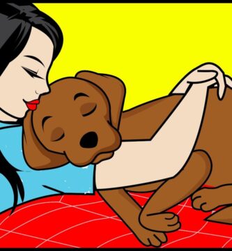 como saber si tu perro