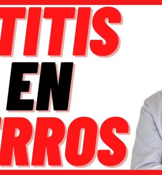 como saber si tu perro tiene infeccion de oido