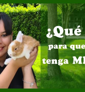 como saber si un conejo tiene miedo