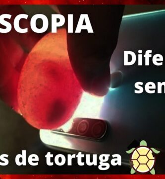 como saber si un huevo de tortuga está fecundado