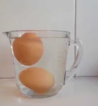como saber si un huevo esta malo en agua