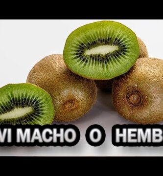 como saber si un kiwi es macho o hembra