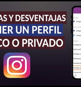 como saber si un perfil es publico o privado