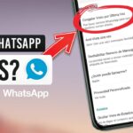 como saber si usan whatsapp plus